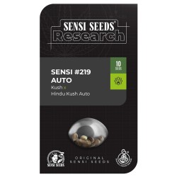 Sensi No-219 Kush x Hindu...