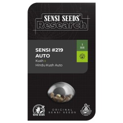 Sensi No-219 Kush x Hindu...