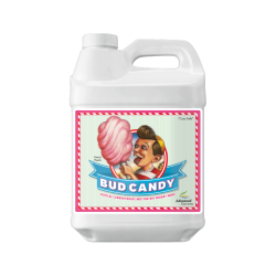 Bud Candy 500 ml