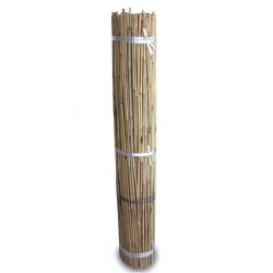 Tutores de Bambú 1,5m (500...