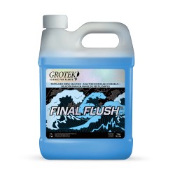 Final Flush Regular 1L