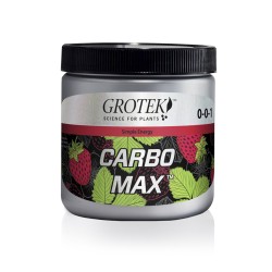 Carbo Max 100g